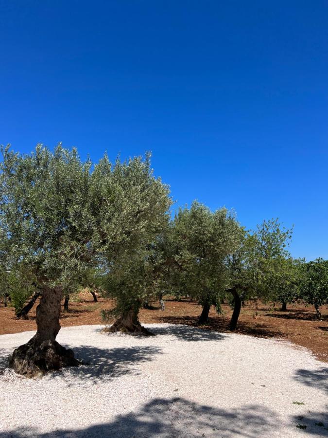 דירות קסטלאנה גרוטה Masseria Concorrano מראה חיצוני תמונה