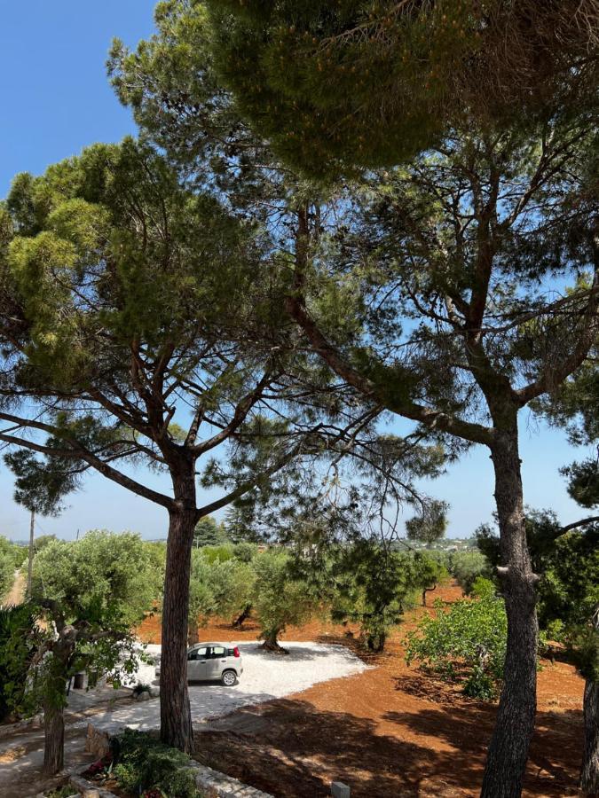דירות קסטלאנה גרוטה Masseria Concorrano מראה חיצוני תמונה