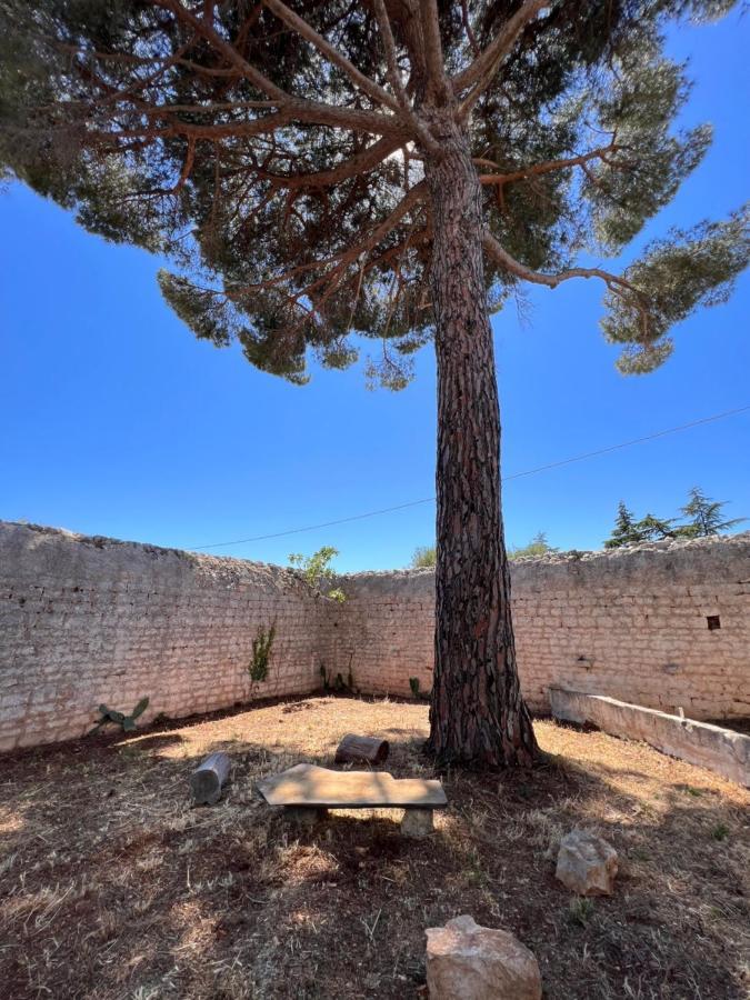 דירות קסטלאנה גרוטה Masseria Concorrano מראה חיצוני תמונה